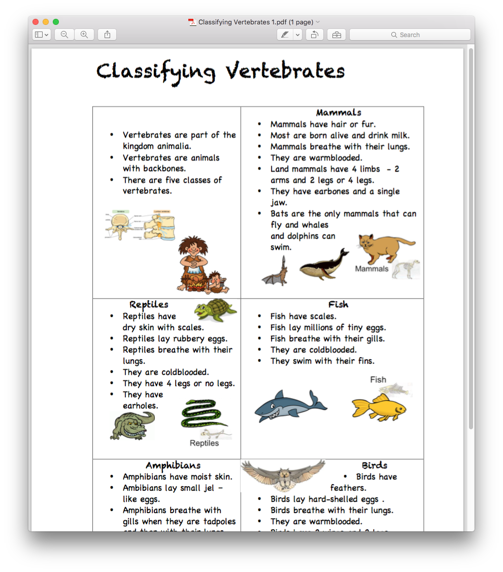 vertebrates • Teacha