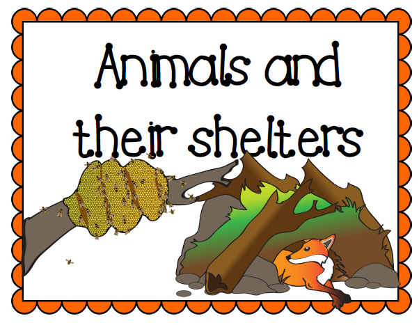 Animals and their shelters • Teacha!
