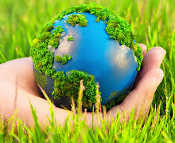 The Environment • Teacha! Teacha!