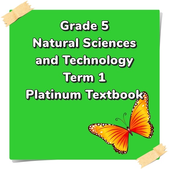 Grade 5 NST T1 Platinum Teacha