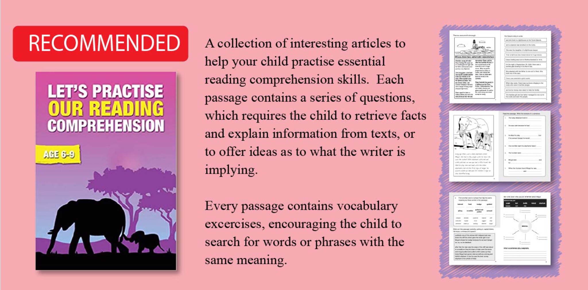 Insects Camouflage: Let's Practise Our Reading Comprehension (6-9 years) • Teacha! Insects Camouflage: Let's Practise Our Reading Comprehension (6-9 years) • Teacha!