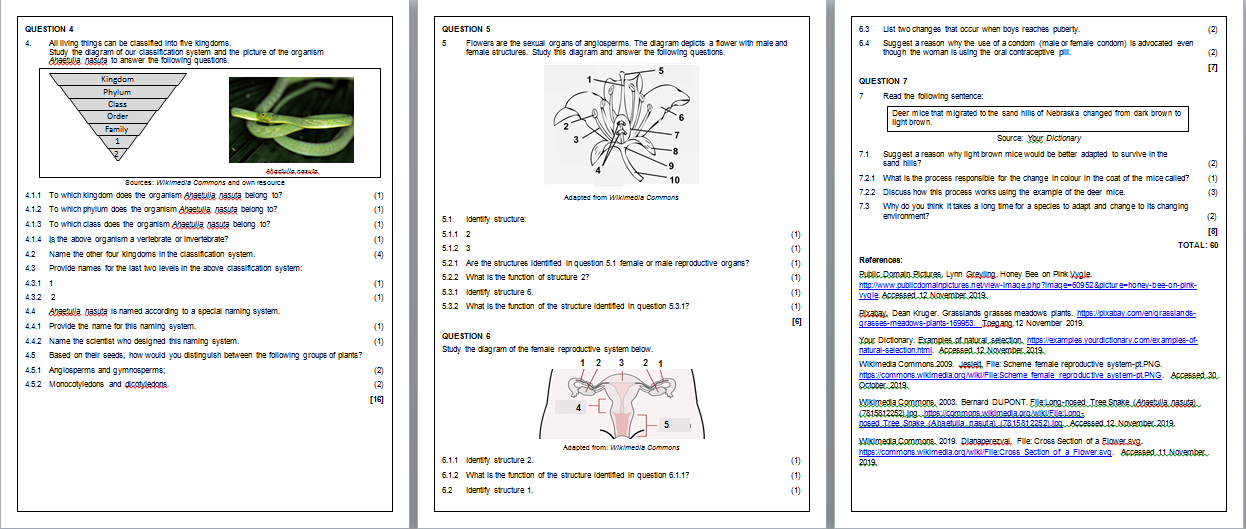 Grade 7 Natural Sciences Term 1 Control Test • Teacha!