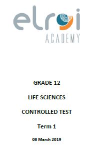 accounting grade 12 case study term 3 2021 memorandum