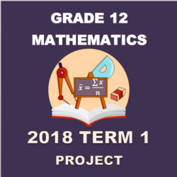 mathematical literacy assignment memo grade 11