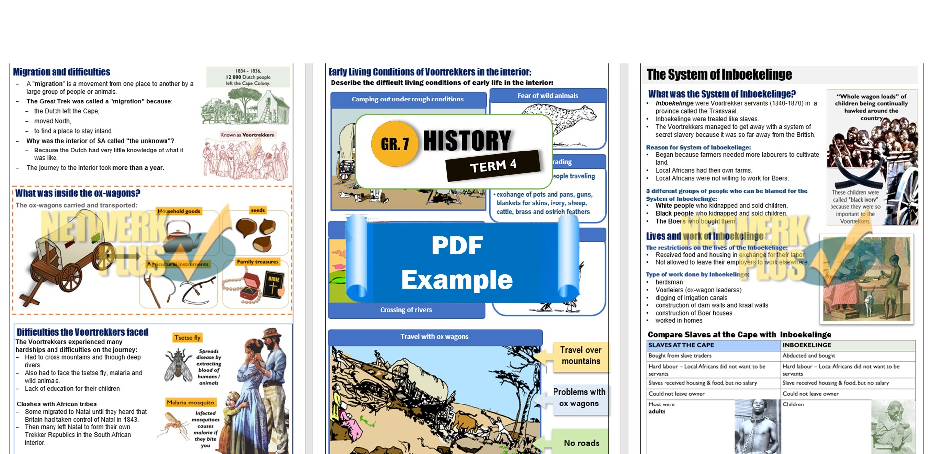 3134 GR 7 HISTORY TERM 4 pdf sampleemf Teacha
