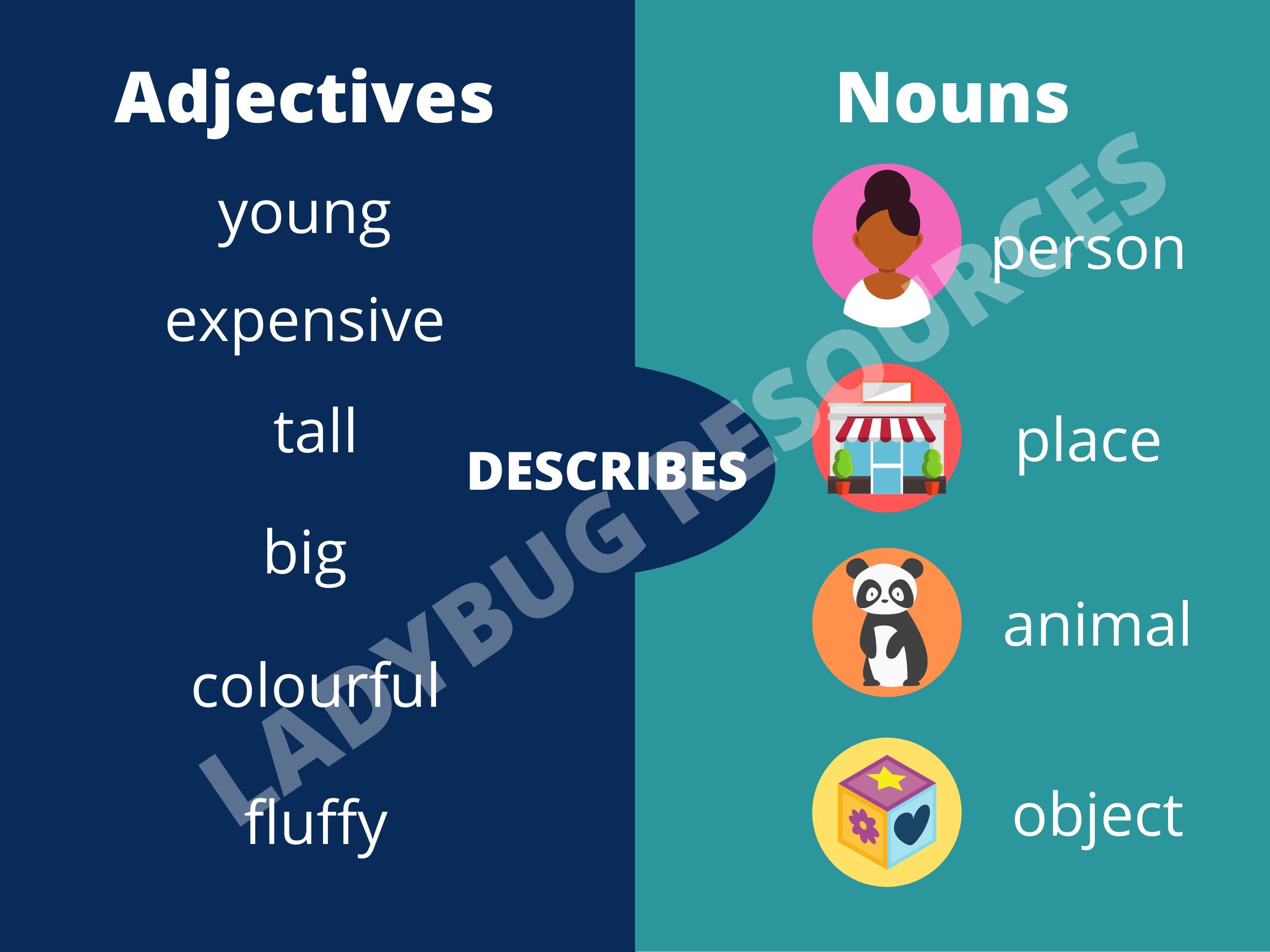 Adjectives & Nouns • Teacha!