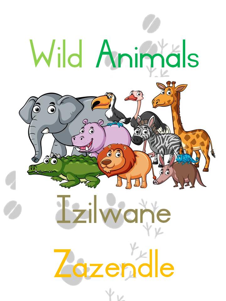 isiZulu and English Wild Animals Flash Cards • Teacha!