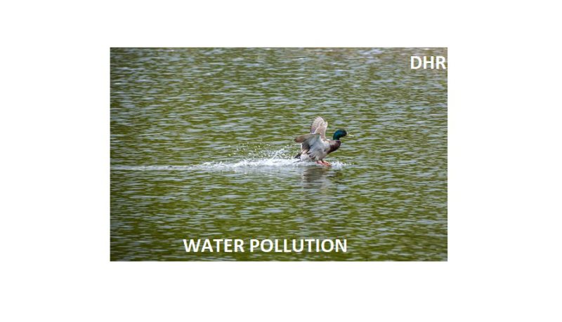 33605-WATER POLLUTION