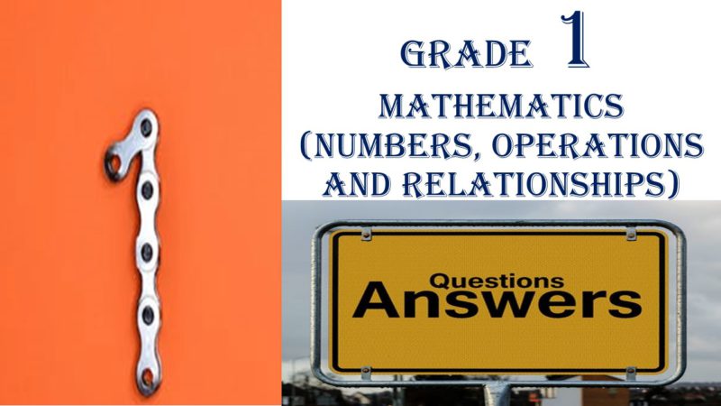 33608-Grade 1 MATHEMATICS (NUMBERS, OPERATIONS AND RELATIONSHIPS) QUESTIONS & ANSWSWERS