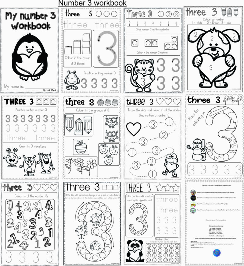 33680 Number 3 preview Teacha