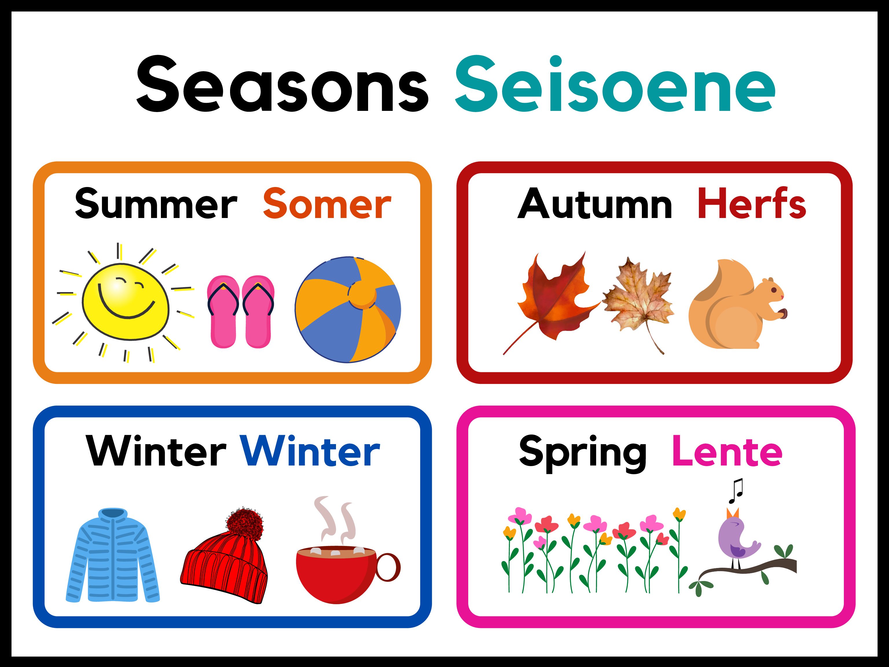 Seasons Seisoene • Teacha