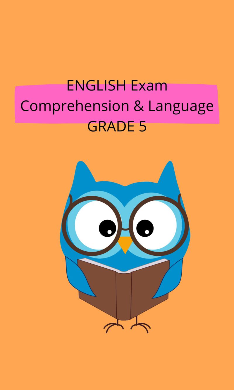 English exam paper 1 (grd5) • Teacha! English exam paper 1 (grd5) • Teacha!