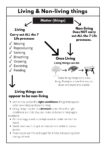 Copy of The 7 Life Processes Teacha