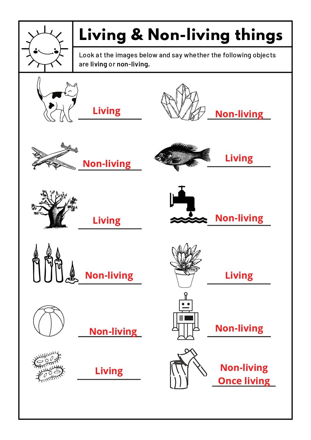 Life Processes Worksheet Pdf Multiple Choice