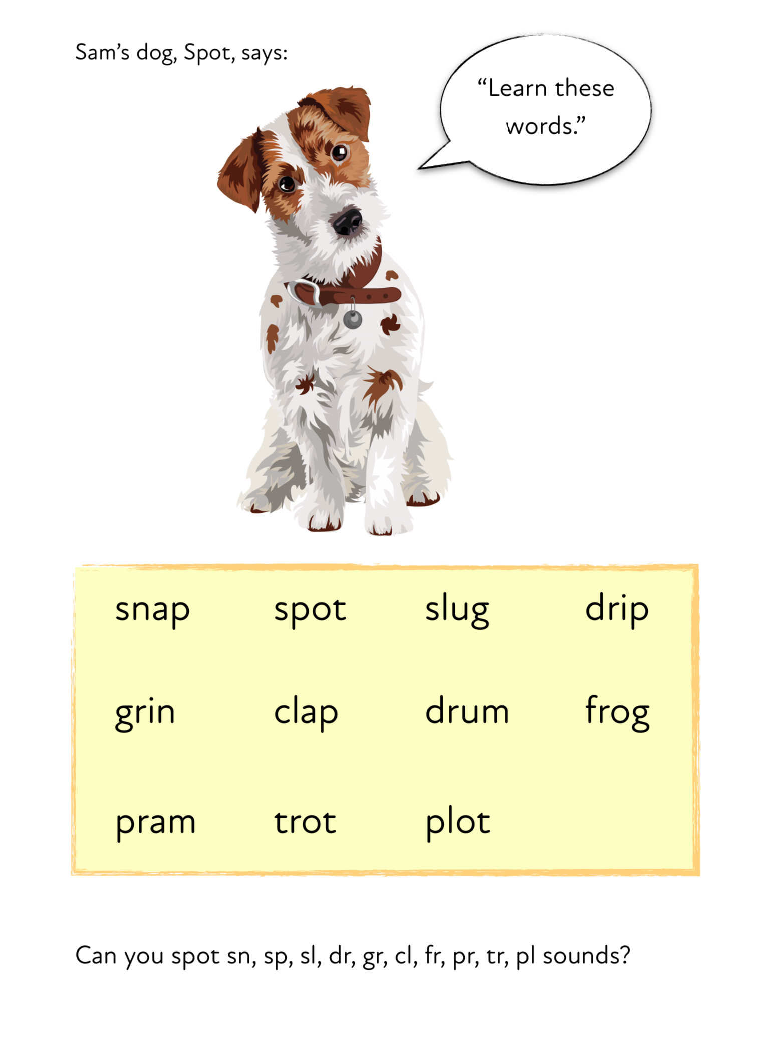 Learn Initial Consonant Blends & Read The Sentences • Teacha! Learn Initial Consonant Blends & Read The Sentences • Teacha!