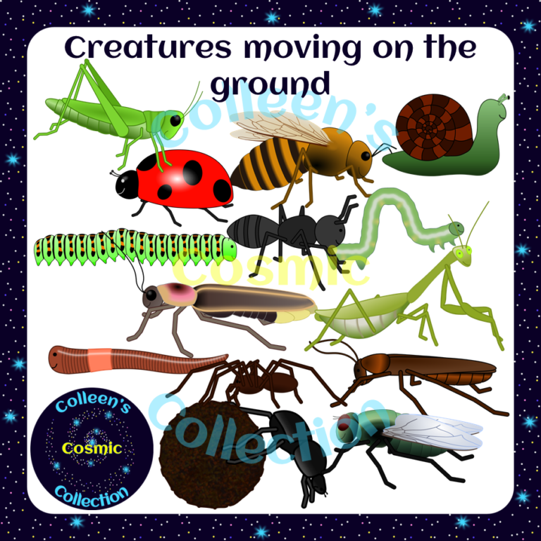 Animated GIF Insects and Bugs Clipart • Teacha!