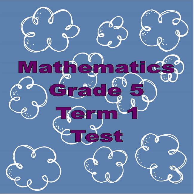 41424 Maths test • Teacha