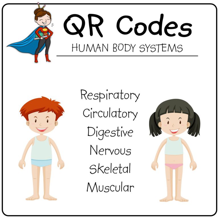 QR codes – Human Body Systems • Teacha!
