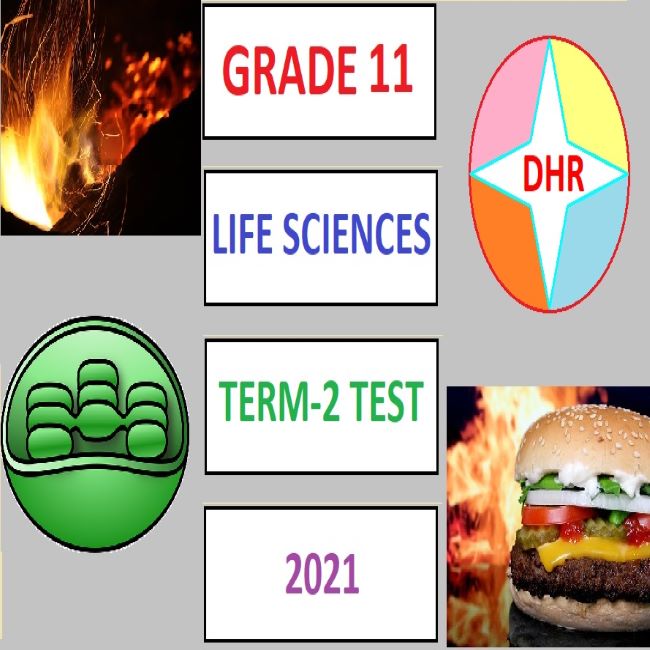 life science assignment grade 11