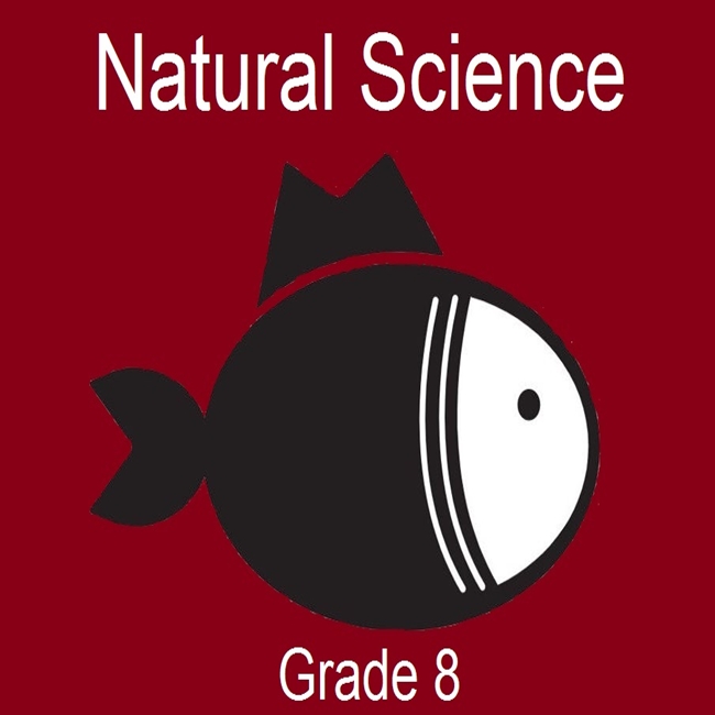 13870 Natural Science Grade 8 • Teacha