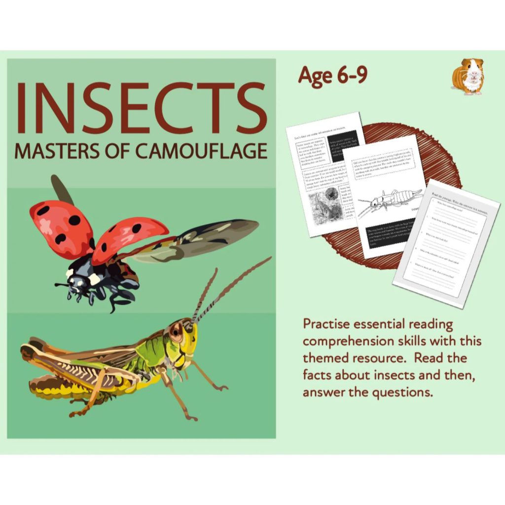 Insects Camouflage: Let's Practise Our Reading Comprehension (6-9 years) • Teacha! Insects Camouflage: Let's Practise Our Reading Comprehension (6-9 years) • Teacha!
