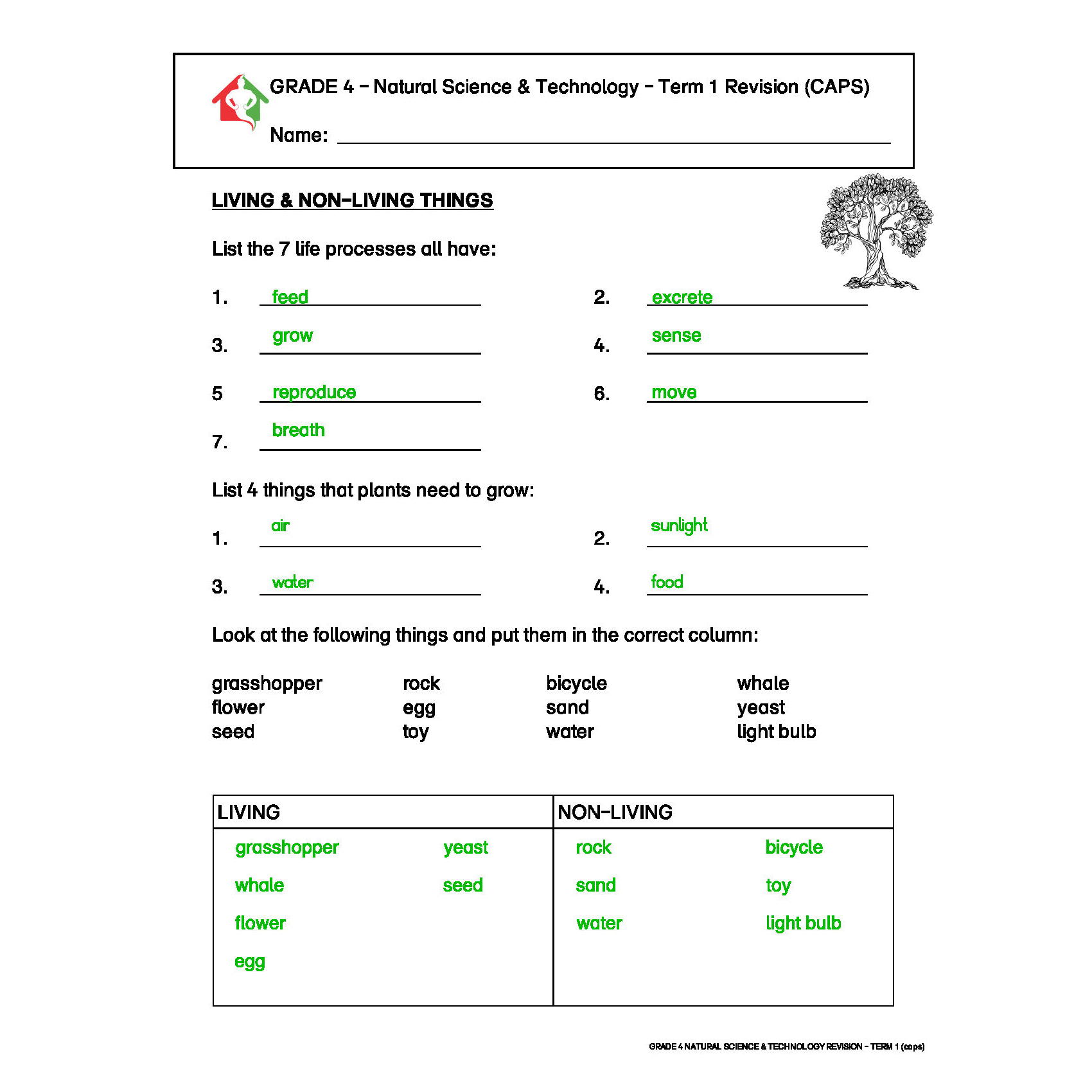 12-scientific-method-worksheets-for-6th-grade-worksheeto