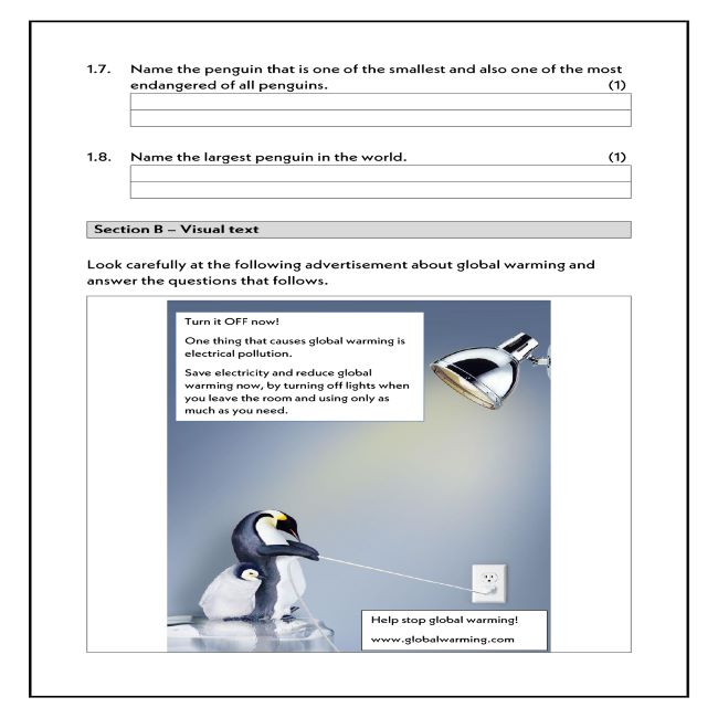 grade-5-english-first-additional-language-test-term-1-teacha