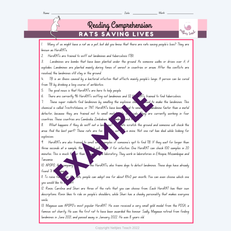 53997-EXAMPLE Reading Comprehension Gr 9 Rats Saving Lives (650 x 650 mm)