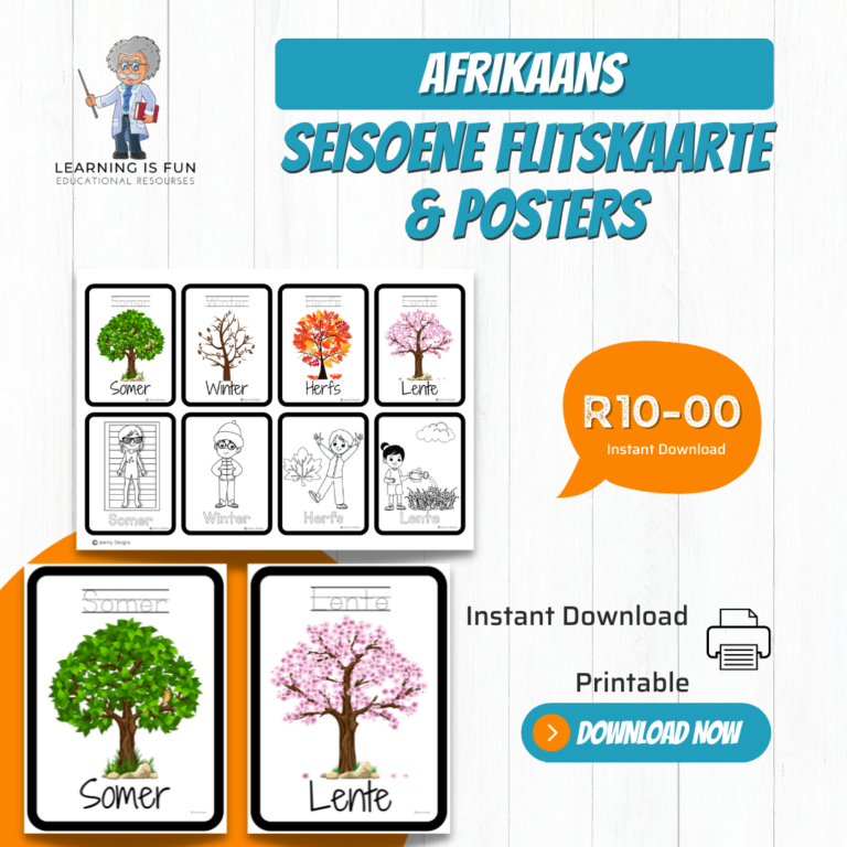 52673-Afrikaans _ Seasons Flashcards &Poster