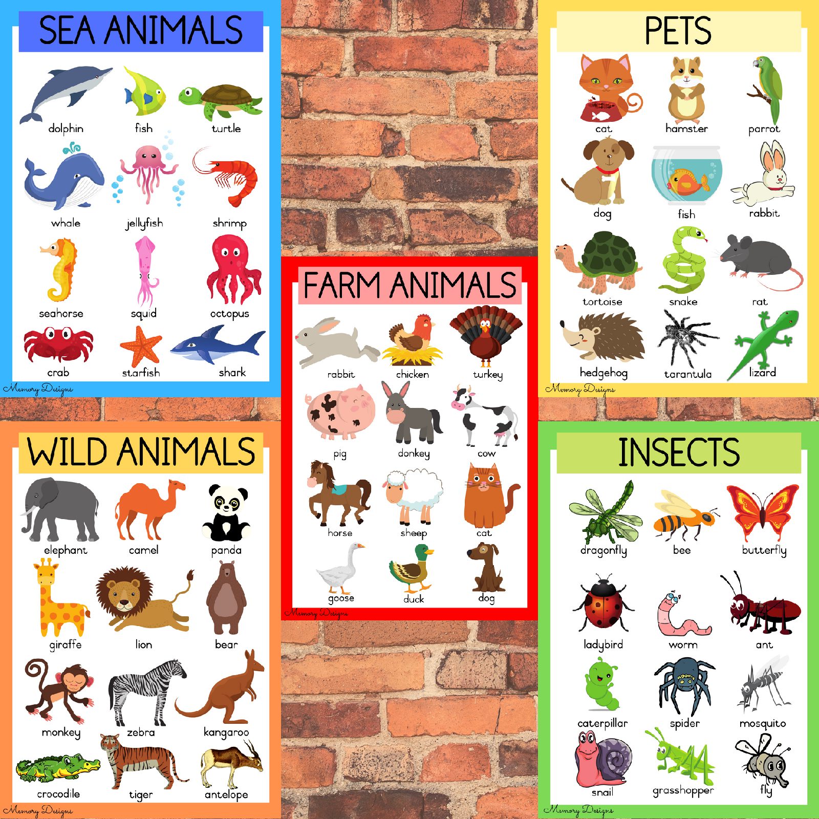 Different kinds of animals • Teacha!