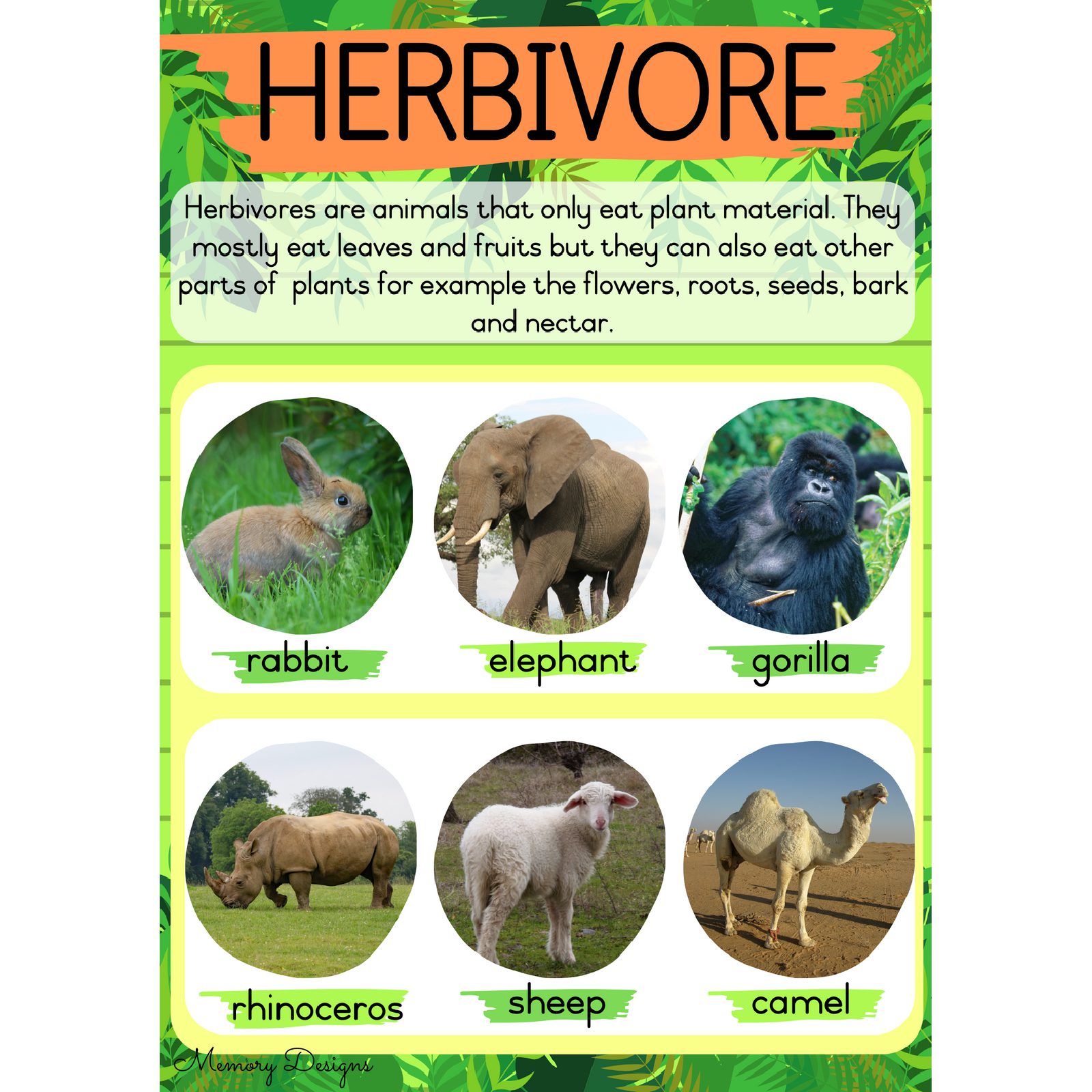 Herbivore, carnivore and omnivore COVER