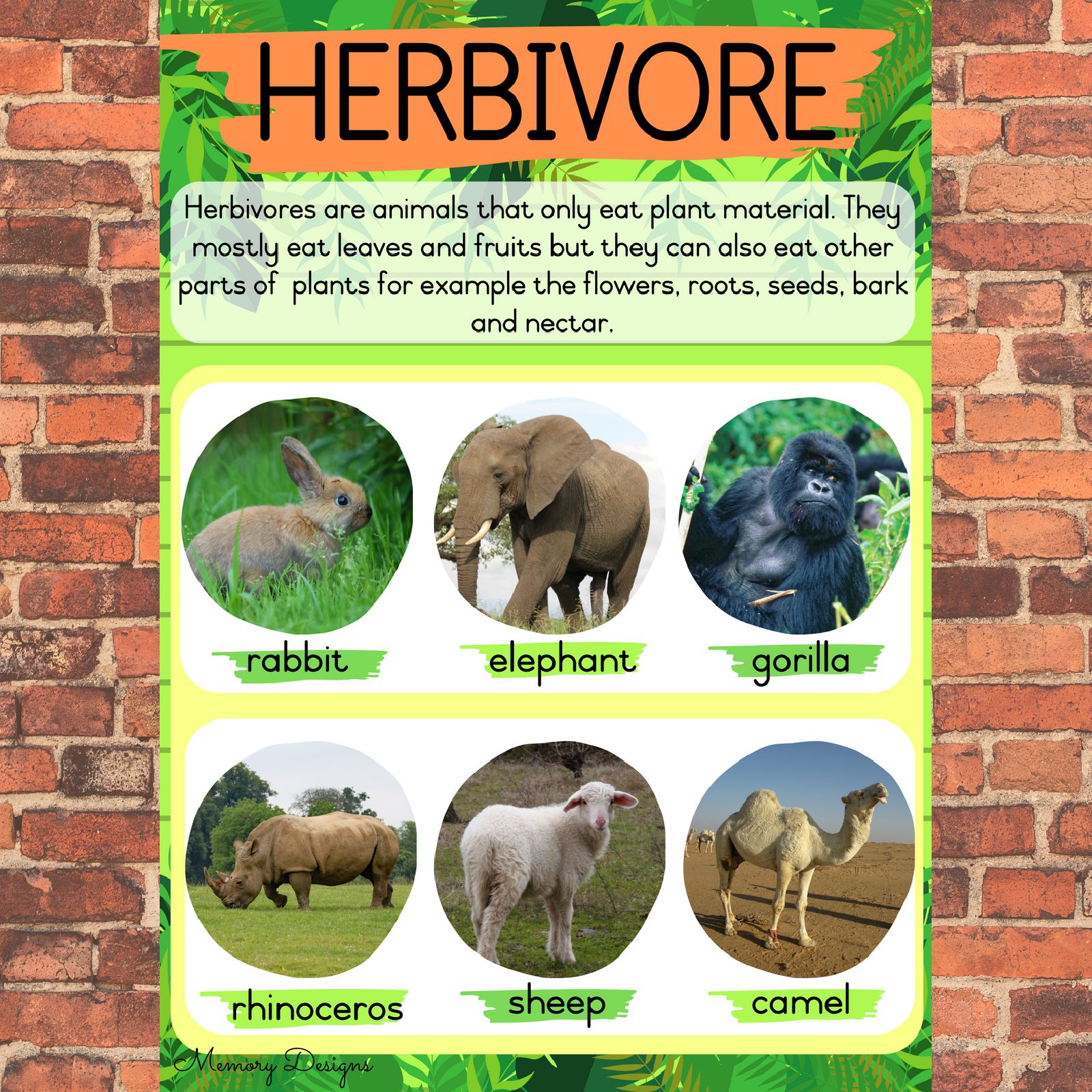 Herbivore, Carnivore and Omnivore • Teacha!