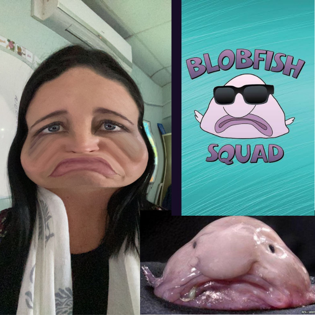 The Blobfish Comprehension • Teacha!