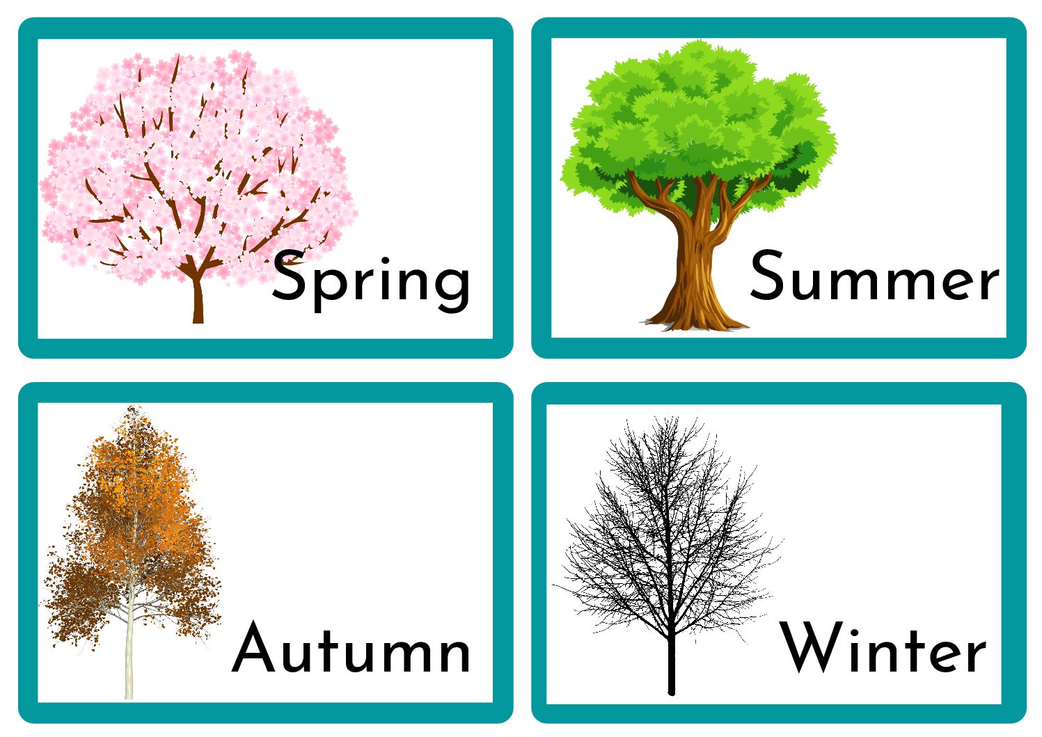 Colorful Simple Seasons Education Flashcards • Teacha