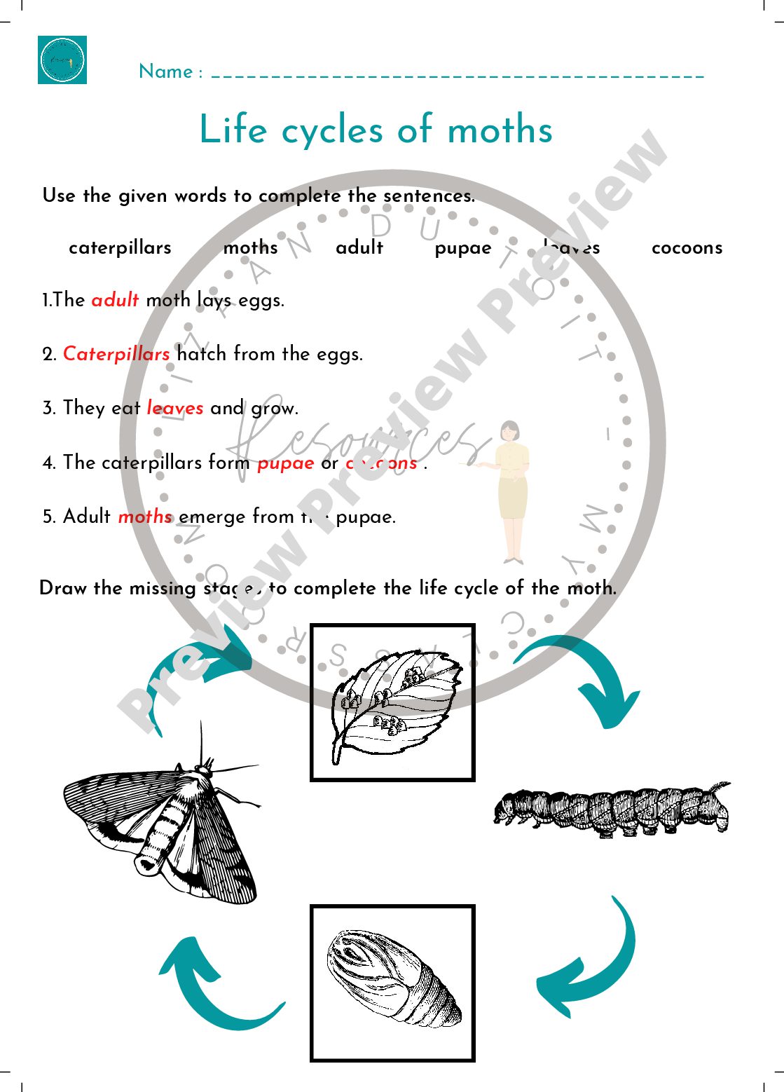 caterpillars moths adult pupae 3 • Teacha