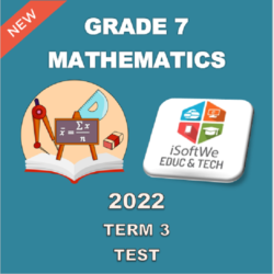 mathematics grade 9 assignment february 2023 pdf