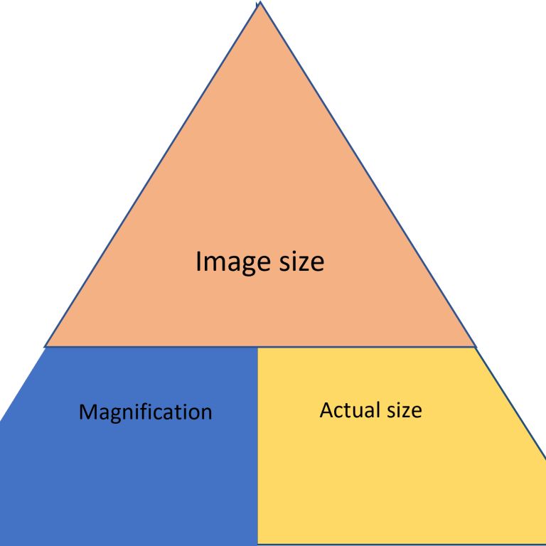 62531 Magnification triangle 2 Copy • Teacha