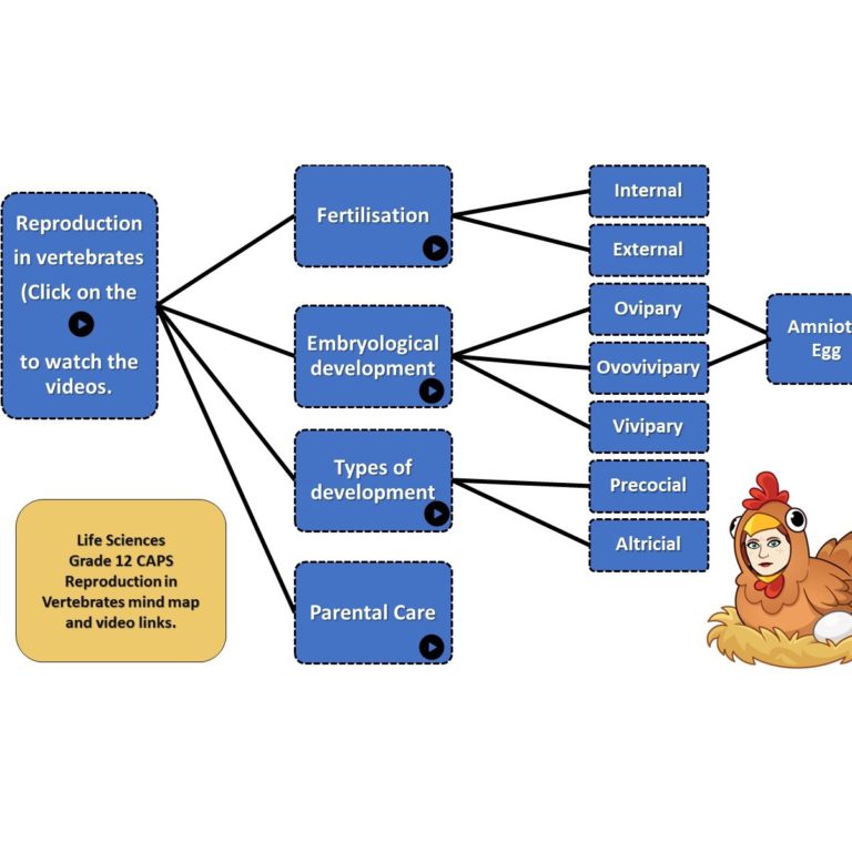 Reproduction in Vertebrates Mind map and Video links • Teacha!