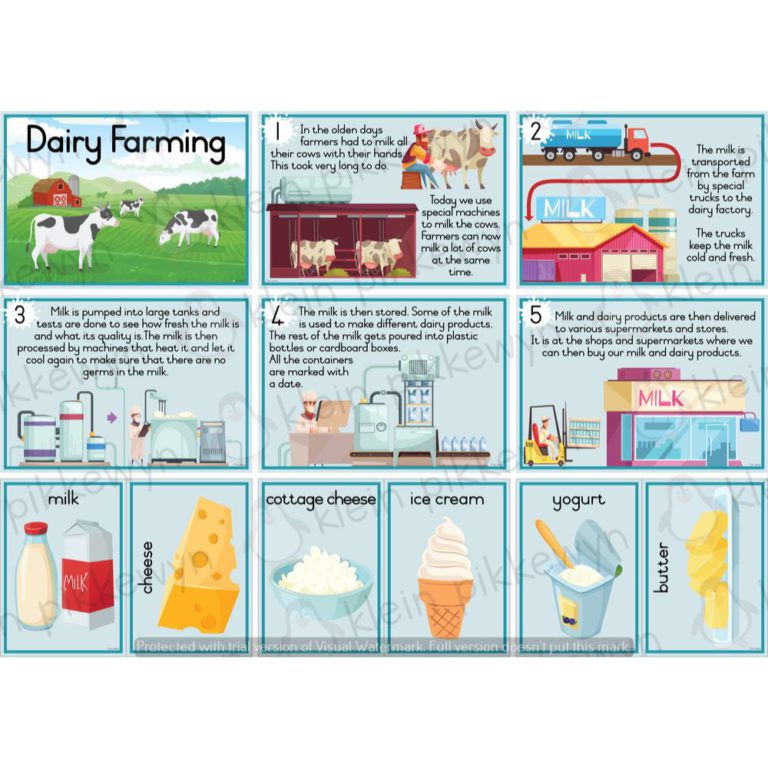 11634 Dairy Farming • Teacha