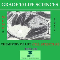 grade 10 assignment term 2 life sciences