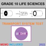 33605 TRANSPORT SYSTEM TEST 2 • Teacha