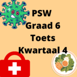37998 PSW Grade 6 Tests Term 4 1 • Teacha