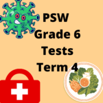 37998 PSW Grade 6 Tests Term 4 • Teacha