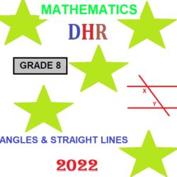 mathematical literacy grade 11 assignment 2021 memorandum