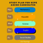52941 study Plan for kcpe ampkcse candidates 650 × 650 px 2 • Teacha