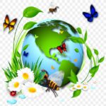 57244 3 Conservation of ecosystems Teacha