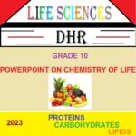 33605 GR 10 CHEMISTRY OF LIFE PPT Teacha
