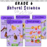 46522 Natuurwetenskappe 2 Teacha