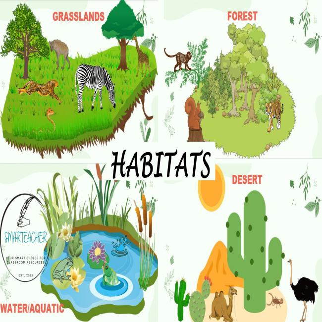 Habitats poster set • Teacha!