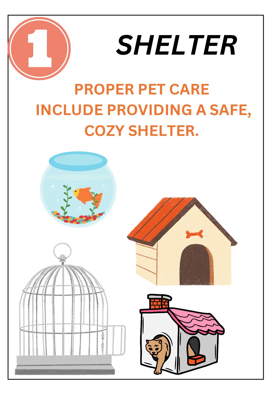 PET CARE 101: Learn How To Take Care Of Your Pets At Home, Learning Guide  For Children • Teacha!